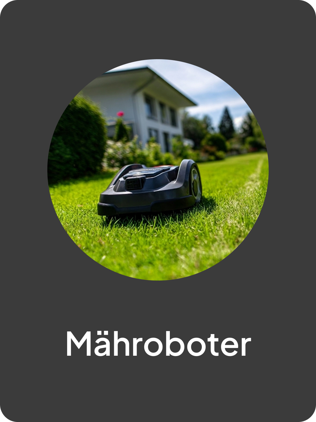 Mahroboter_card.jpg